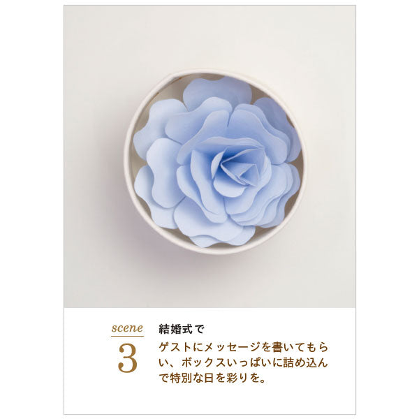 Hanafumi -はなふみ- 追加カード 5枚入り [全4色] 大阪書籍印刷 HF002-RD/PK/LB/YE