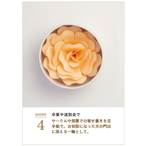 Hanafumi -はなふみ- [全4色] 大阪書籍印刷 HF-001RD1/PK1/LB1/YE1