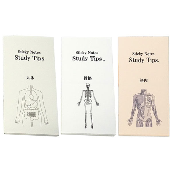 Sticky Note Study Tips 【からだ】 全3種 松浦紙器製作所 FS-SST003/6/8 [M便 1/6]