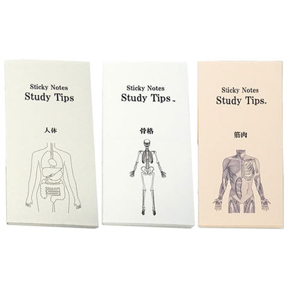 Sticky Note Study Tips 【からだ】 全3種 松浦紙器製作所 FS-SST003/6/8 [M便 1/6]