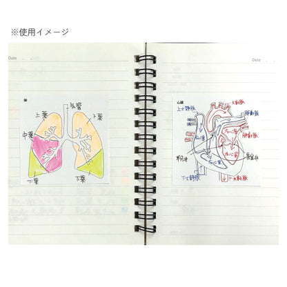 Sticky Note Study Tips 【からだ】 全3種 松浦紙器製作所 FS-SST003/6/8 [M便 1/6]