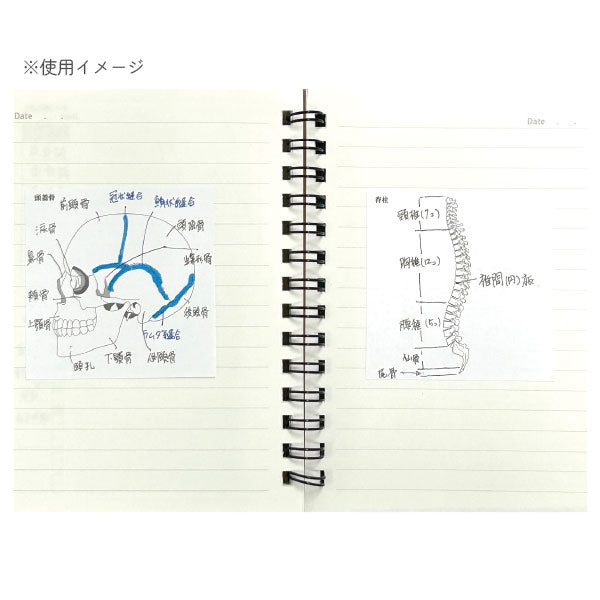 Sticky Note Study Tips 【からだ】 全3種 松浦紙器製作所 FS-SST003/6/8 [M便 1/6]