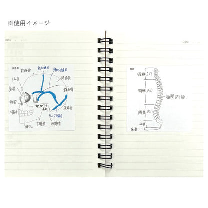 Sticky Note Study Tips 【からだ】 全3種 松浦紙器製作所 FS-SST003/6/8 [M便 1/6]