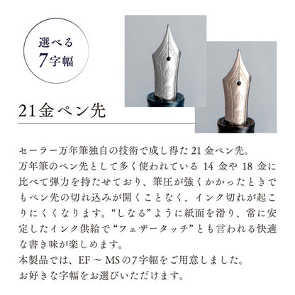 【取り寄せ品】万年筆 VEILIO《ヴェイリオ》 [パールブラック/ブルーパープル] ［EF/F/MF/M/B/Z/MS］ セーラー万年筆 11-5045/11-5046【送料無料*】
