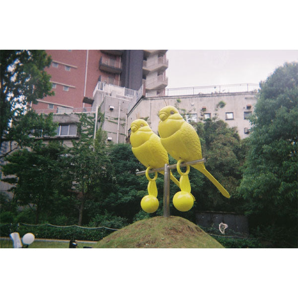 フィルムナカメラ daylight [全2色] 保証書付き ナカバヤシ CAM-F301WH/PK