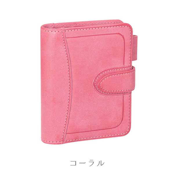 ダ・ヴィンチ ロロマホック 《Roroma Hook》 システム手帳 mini5サイズ リング内径：16mm [全3色] レイメイ藤井 DPM1414 【送料無料*】