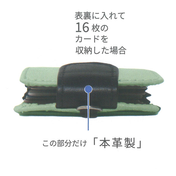 カードホルダー（アコーディオン式）色語《いろがたり》シリーズ [全4色] 8仕切り コレクト CP-608V [M便 1/10]