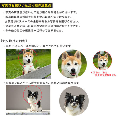 【写真・名入れ可能】犬のケース オリジナル 桐箱 [丸型]