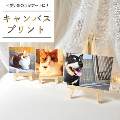 《ペットの写真をアートに》思い出を飾る キャンバスプリントミニ【正方形/長方形】[M便 1/3]