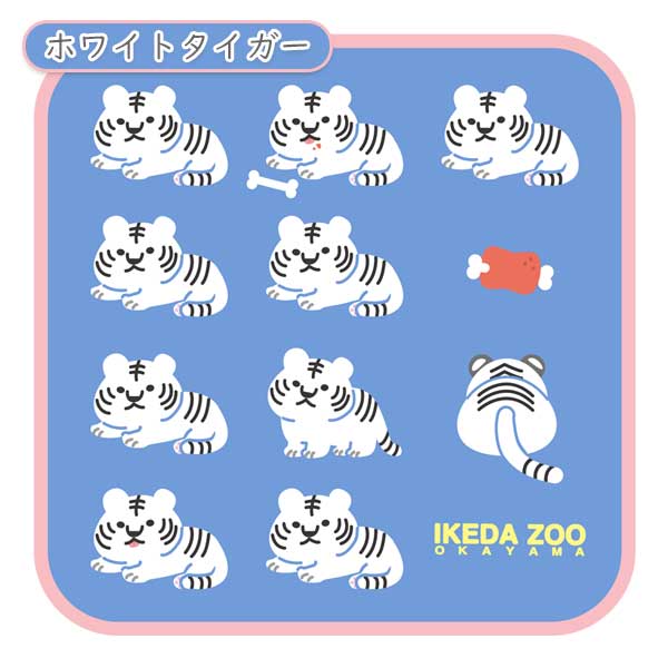 池田動物園×うさぎやコラボ タオルハンカチ [全2種類] オリジナルTH-24/25 [M便 1/3]
